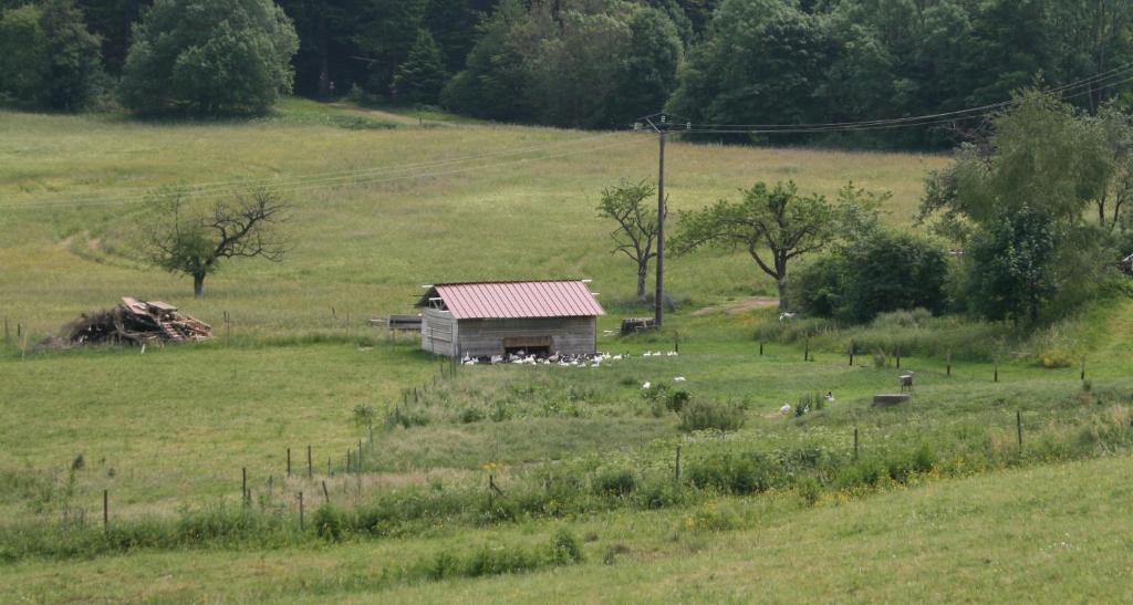 Gites Du Kreuzweg Le Hohwald Exteriör bild