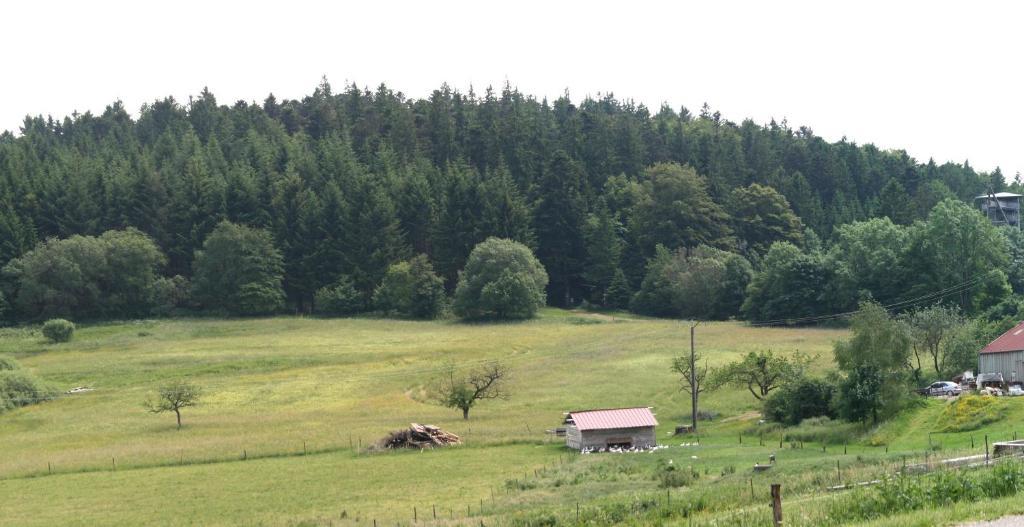 Gites Du Kreuzweg Le Hohwald Exteriör bild