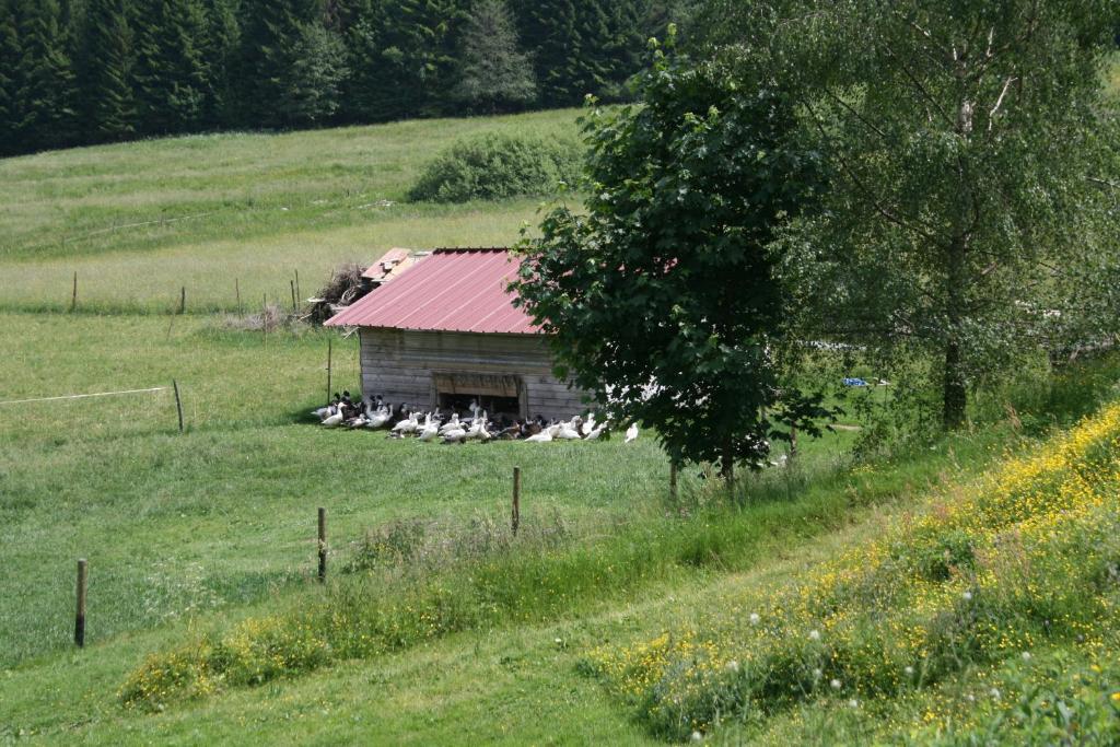 Gites Du Kreuzweg Le Hohwald Exteriör bild